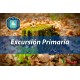 Excursión parque de Santa Ana (El sistema solar - Albal).