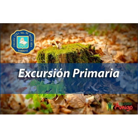 Excursión parque de Santa Ana (El sistema solar - Albal).