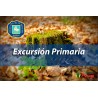 EXCURSIÓN 4º PRIMARIA - ALBUFERA: BARRACA Y BARCA