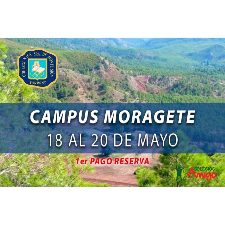 Inmersión lingüísitica en el Campus Moragete